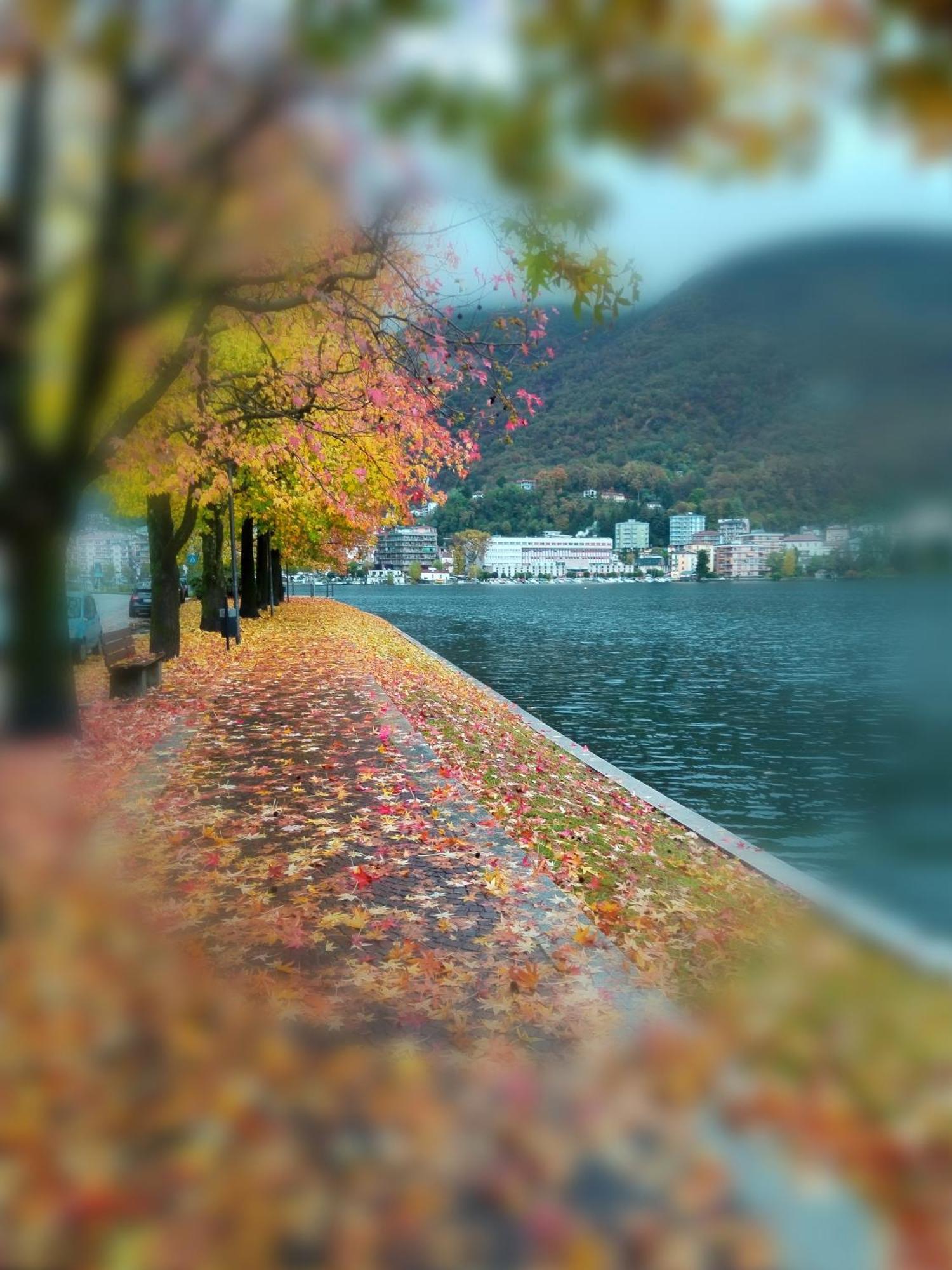 Un Balcone Sul Lago Omegna Extérieur photo
