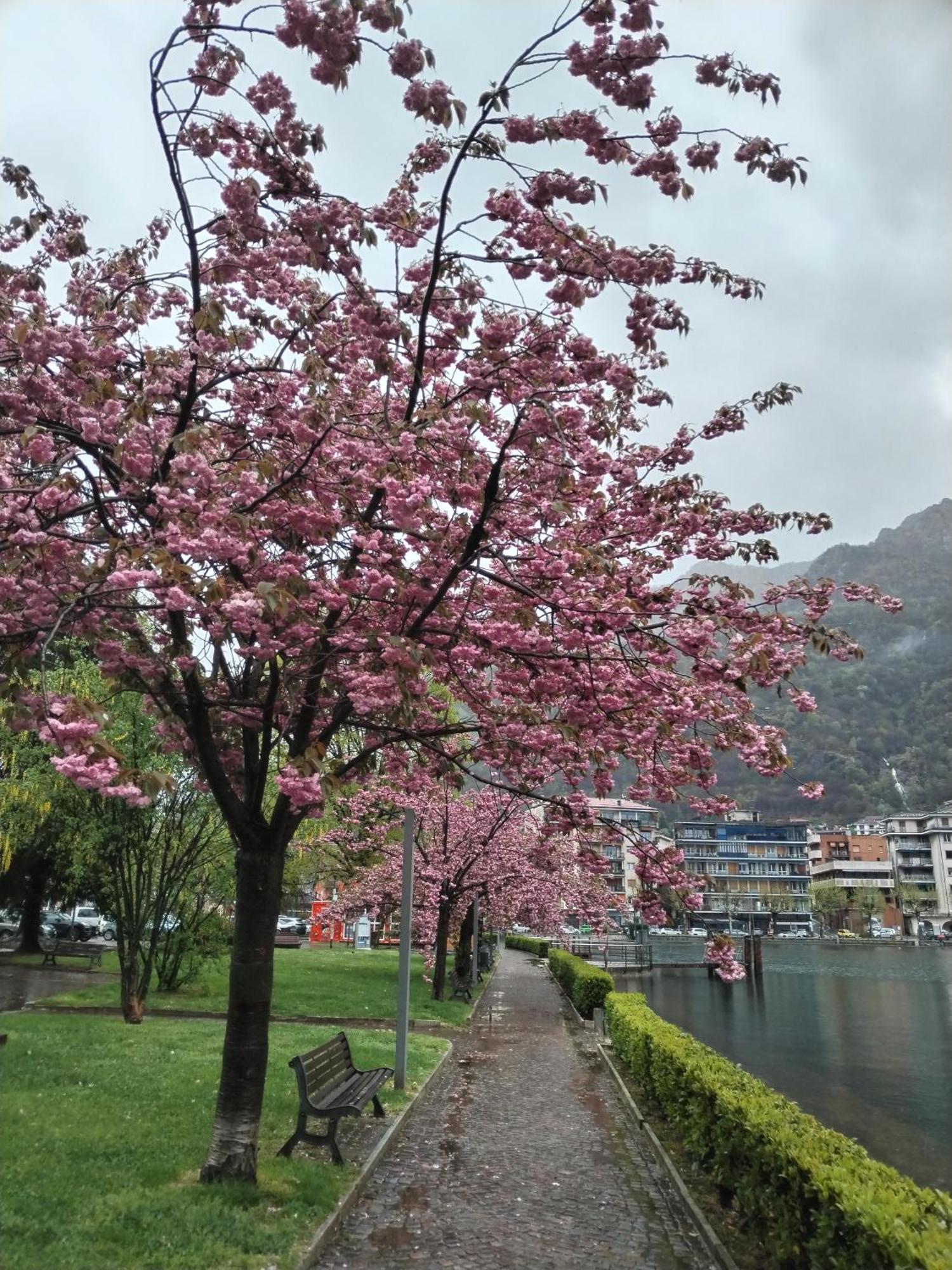 Un Balcone Sul Lago Omegna Extérieur photo